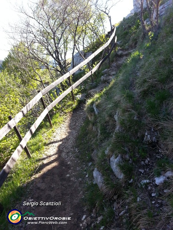31 Verso il belvedere.jpg